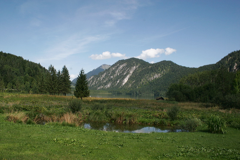 _mg_1342.jpg