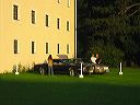 img_2084