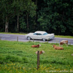 CBM2012-Driving-Tour-099.jpg