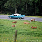 CBM2012-Driving-Tour-100.jpg