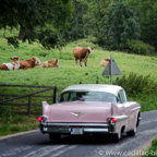 CBM2012-Driving-Tour-104.jpg