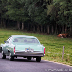 CBM2012-Driving-Tour-132.jpg