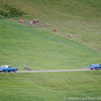 CBM2012-Driving-Tour-176.jpg