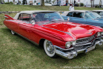 CBM2014-Meeting-329.jpg
