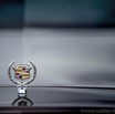 _MG_2690